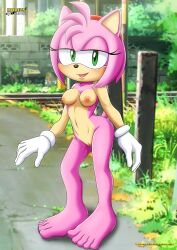 amy rose from sega by bbmbbf