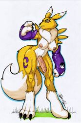 digimon (species) from bandai namco by rotten owl