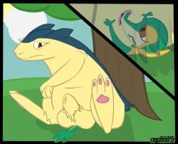 anthro anus furry male_focus no_humans outside pawpads pokemon pokemon_(species) pokemon_bw pokemon_gsc red_eyes sergaelic snivy tree typhlosion wavy_mouth