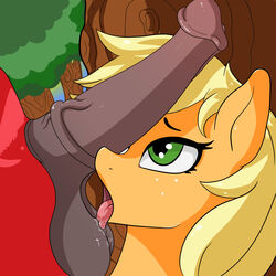 1:1 absurd_res animal_genitalia animal_penis anthro applejack_(mlp) ball_lick balls big_macintosh_(mlp) blonde_hair brother brother_and_sister duo equine_penis female freckles friendship_is_magic genitals hair hasbro hi_res incest licking looking_at_another looking_at_partner looking_up male male/female my_little_pony open_mouth oral penile penis penis_lick penis_on_face sex sibling sister sketchy_knight straight_hair tongue tongue_out