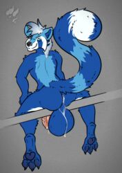 ailurid anthro ass balls big_balls blue_body blue_fur bodily_fluids canid canine canis digital_media_(artwork) drakk_art fur genital_fluids genitals hair hi_res hybrid male mammal nude penis red_panda simple_background smile solo wolf