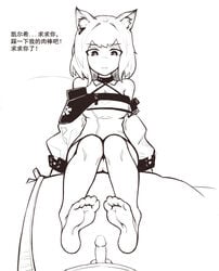 animal_ears arknights bingbingzi feet female foot_fetish kal'tsit_(arknights) medium_hair monochrome ped_socks pov sitting small_penis socks soles