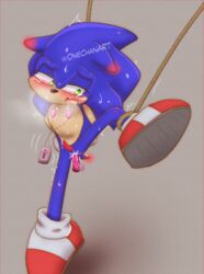 anal anal_sex anthro anthro_penetrated arms_tied blush bodily_fluids bondage bound edging egg_vibrator eulipotyphlan forced genital_fluids genitals hands_tied hedgehog legs_tied legs_up male mammal onechan penetration penile penis raised_leg restraints rope rope_bondage sega sex_toy sex_toy_in_ass sex_toy_insertion solo solo_male sonic_(series) sonic_the_hedgehog tears vibrator vibrator_in_ass