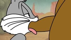 16:9 2boys 2d animated anthro anthro_penetrated blowjob bugs_bunny cactus cock_gobble cock_hungry cum_hungry dark-skinned_male deepthroat desert detailed_background duo duo_male fellatio gag gagged gay genitals gif giving_head going_down_on half-closed_eyes head_out_of_frame human human_on_anthro human_penetrating human_penetrating_anthro interspecies knob_polishing lagomorph lebron_james leporid looney_tunes loop male male/male mammal mouth_full_of_cock mouthful multiversus no_orgasm oral oral_penetration outside penetration penile penis penis_in_mouth rabbit rock_formation sex side_view solo spanky15 sucking_off swallowing_penis_while_deepthroat tongue tongue_out tongue_out_blowjob warner_brothers