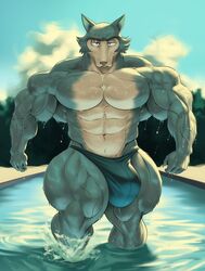 2021 abs absurd_res anthro barazoku beastars biceps big_bulge big_muscles bulge canid canine canis clothing cloud day detailed_background dripping eyebrows front_view fur guzreuef hi_res huge_bulge huge_muscles legoshi_(beastars) looking_at_viewer male male_only mammal muscular muscular_anthro muscular_male navel obliques outside partially_submerged pecs plant quads scar sky solo speedo splash swimming_pool swimwear thick_thighs tree tuft vein veiny_muscles walking water wet wet_body wet_fur wolf