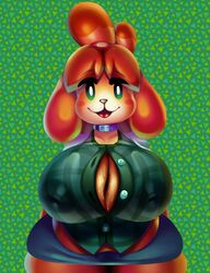2020 animal_crossing big_breasts breasts button_gap canine cleavage collar female fur furry green_eyes isabelle_(animal_crossing) isolatedartest mostly_clothed nintendo shortstack solo standing sweat sweaty_breasts thick unbuttoned_shirt yellow_fur