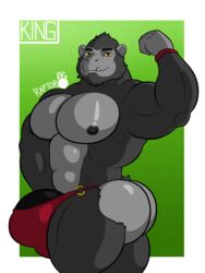 1male 3:4 absurd_res anthro ape ass beefy big_butt body_fur bulge butt erect_penis fur genitals gorilla haplorhine hi_res looking_at_viewer male male_nipples male_only male_thong mammal manly masculine musclegut muscular muscular_anthro muscular_male nipples penis primate raptorart simple_background smile smooth_fur solo yellow_eyes