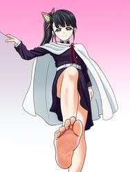 bangs barefoot black_hair butterfly_hair_ornament cape demon_slayer feet female female_only foot_fetish foot_focus fully_clothed gradient_background kimetsu_no_yaiba looking_at_viewer low-angle_view nush_advance pink_background ponytail purple_eyes side_ponytail smile soles solo tsuyuri_kanao uniform