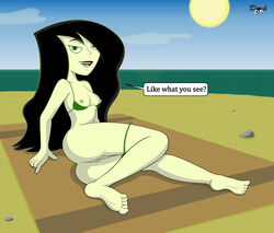 shego from disney by darkdp