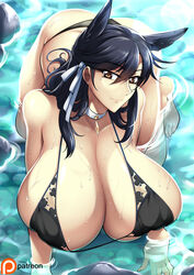 animal_ears atago_(azur_lane) azur_lane bikini black_hair brown_eyes collar haganef huge_breasts long_hair looking_at_viewer on_all_fours voluptuous wet