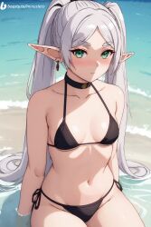 1girls 2023 ai_generated beach bikini black_bikini frieren gray_hair green_eyes hitler minusleto ponytail small_breasts sousou_no_frieren stable_diffusion very_long_hair