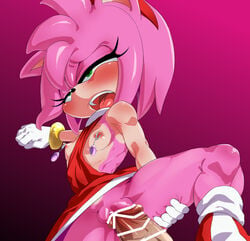 amy_rose breasts human_on_anthro penetration pink_hair rom sonic_(series)