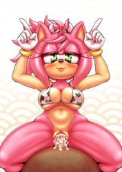 amy rose from sonic (series) by michiyoshi