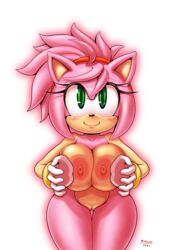 amy rose from sonic (series) by michiyoshi