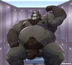 1boy anthro balls beard belly big_belly black_balls black_body black_fur black_nipples black_penis equid equine facial_hair flexing fur genitals grey_body grey_fur grey_hair hair hi_res horse locker_room male male_only mammal manlyster moobs moustache nipples nude overweight overweight_anthro overweight_male penis pubes sitting solo