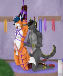 anthro assalt balls bondage bondage bound canid canine duo erection felid feline fox fur genitals hi_res lynx male male/male mammal naniby nude penis restraints rope rope_bondage rope_harness samuelwolfo submissive