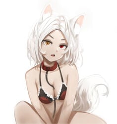 animal_ears bra breasts cat_ears cleavage collar collarbone commentary female female heart heart-shaped_pupils heterochromia highres lace lace_bra looking_at_viewer medium_breasts medium_hair oerba_yun_fang open_mouth original raeran red_bra red_eyes short_sleeves simple_background sitting solo symbol-shaped_pupils tail underwear underwear_only white_background white_hair yellow_eyes