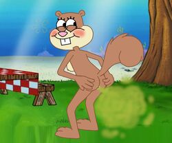anus ass blush cheeks fart fart_cloud farting female furry looking_at_viewer mammal naughty_face nickelodeon nude on_back presenting_ass sandy_cheeks seductive_smile smelly smile spongebob_squarepants spread_anus squirrel tail teeth