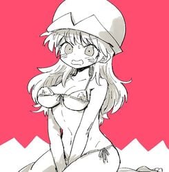 1girls artist_request big_breasts bikini blush breasts female female_only hat human hunter hunter_x_hunter large_breasts long_hair micro_bikini monochrome ponzu shounen_jump solo swimsuit tagme