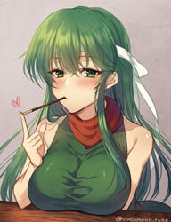 1girls awayuki_ramika breasts cucumber_tuna fire_emblem fire_emblem:_mystery_of_the_emblem fire_emblem:_shadow_dragon_and_the_blade_of_light food green_eyes green_hair large_breasts long_hair looking_at_viewer nintendo palla_(fire_emblem) pocky sleeveless solo