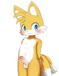 1boy :3 balls blue_eyes blush blush_lines furry furry_ears furry_only hands_behind_back legs_together meta:white_background penis red_penis_tip sega simple_background sonic_(series) sonic_the_hedgehog_(series) sum tagme tail tails tails_the_fox white_fur white_penis yellow_fur