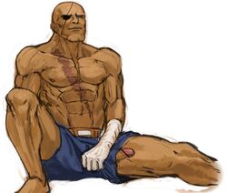 capcom male_only nedayashi sagat smooth_skin street_fighter tagme yashi_(3gx0tehl2vycx1d)