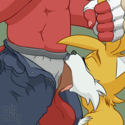 knuckles the echidna from sega