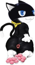 3_toes 4_fingers anthro anus ass atlus bandana black_body black_fur blue_eyes cat_ears cat_tail dipstick_tail domestic_cat dulone feet feline fur furry furry_only looking_at_viewer male male_only mammal mask megami_tensei morgana_(persona) no_humans nude pawpads persona persona_5 pink_pawpads pixel_art presenting solo solo_male spread_anus spreading_ass tail transparent_background two_tone_fur white_fur