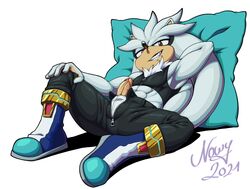 silver the hedgehog from sega by nowykowski7
