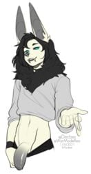 135:256 2021 alpha_channel anthro black_hair blue_eyes digital_media_(artwork) genitals grey_nose hair hi_res kittydee male male_only penis simple_background smile solo transparent_background