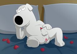 absurd_res animal_genitalia animal_penis anthro anus balls bed brian_griffin canid canine canine_penis canis domestic_dog family_guy furniture genitals hi_res looking_at_viewer magzol male mammal penis solo