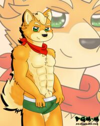 abs bandana boxers fox fox_mccloud furry green_eyes male male_only nintendo pgm-m sheath solo star_fox tan_fur vulpine