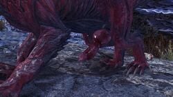 animal_genitalia knot monster_hunter monster_hunter_world odogaron