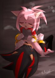 amy rose from sonic (series) by momod0ki