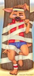 2026 bulge dreamworks forgotten_island furry furry_only gay male male_only raww_(forgotten_island) tagme underwear weredog