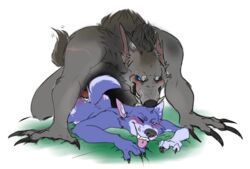 anal anthro big_dom_small_sub blue_body blue_eyes blue_fur bodily_fluids bubbles_(character) canid canine dominant duo fur gangles_(artist) genitals grey_body grey_fur male male/male mammal penis sex size_difference tongue tongue_out were werecanid werecanine werewolf