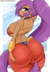 shantae (character) from shantae by bmayneart