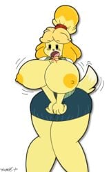 1girls alternate_breast_size animal_crossing anthro big_breasts breasts female female_only fnafmania247 imcubemaster isabelle_(animal_crossing) large_breasts nintendo solo solo_focus tagme tail thick white_background wide_hips