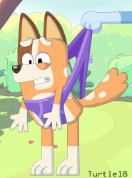 australian_cattle_dog bluey_(series) canine cattledog chilli_heeler in_pain orange_body orange_fur panties purple_panties purple_underpants purple_underwear purple_undies turtle18 underpants underwear undies wedgie