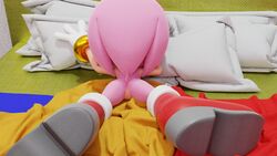 3d amy_rose anus female footwear fur furry furry_only ganondork handwear mostly_nude naked nude pink_fur pink_hair pussy rear_view solo sonic_(series) tail