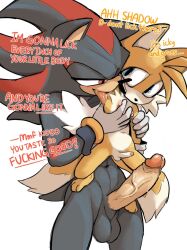 shadow the hedgehog from sega by anitwenty