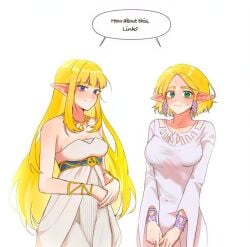 princess zelda from breath of the wild by big egg526