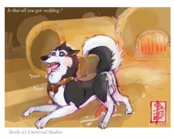 alaskan_malamute animal_genitalia animal_penis aroused ass balls balto_(series) blush blush_lines bodily_fluids breath canid canine canine_genitalia canine_penis canis collar cum cum_in_ass cum_inside cum_leaking_from_ass cum_on_balls cum_on_butt cum_on_face cum_on_ground cum_on_muzzle cum_on_penis digital_media_(artwork) digital_sketch domestic_dog drooling ears_back erection fennec_(artist) feral genital_fluids genitals knot leaking_cum looking_back male mammal nordic_sled_dog panting penis pivoted_ears presenting raised_tail saliva simple_background solo sound_effects spitz steele_(balto) tail universal_studios