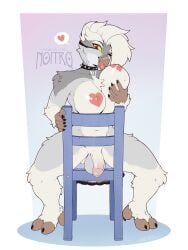 2025 5_fingers anthro areola artist_name auto_breast_lick avian balls band-aid band-aid_on_beak band-aid_on_face band-aid_on_nose bandage bandage_on_beak bandage_on_face bandage_on_nose beak big_breasts bird border breast_lick breast_play breasts chair collar colored digital_drawing_(artwork) digital_media_(artwork) eyebrows eyeliner feet fingers foreskin front_view full-length_portrait fur furniture genitals glistening glistening_breasts glistening_genitalia glistening_penis grey_body grey_fur gynomorph gynomorph_anthro hair heart_areola heart_nipples heart_symbol hi_res holding_breast humanoid_genitalia humanoid_penis intersex intersex_anthro joy_(shammy) licking looking_at_viewer makeup navel nipples noitro non-mammal_breasts non-mammal_nipples nude nude_anthro nude_gynomorph one_eye_closed owl patreon penis piercing pink_areola pink_nipples portrait red_eyes self_lick shaded simple_background sitting solo spiked_collar spikes talons text toes tongue tongue_out tongue_piercing trans_(lore) trans_woman_(lore) url white_body white_border white_fur white_hair wink winking_at_viewer yellow_sclera