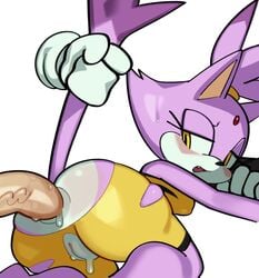 anal anal_sex anthro blaze_the_cat fiinel sonic_(series) sonic_the_hedgehog_(series)