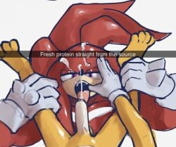 knuckles the echidna from sega by anitwenty
