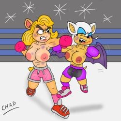 2girls activision angry anthro anthro_only big_breasts blonde_hair blue_eyeshadow boxing boxing_gloves boxing_match boxing_ring bruises catfight chadartist98 closed_eyes crash_(series) crossover duo eyeshadow fangs female female_only fight fighting_ring gloves lips lipstick multiple_girls nipples pink_boxing_gloves pink_eyeshadow pink_gloves pink_socks punch punching purple_boxing_gloves purple_gloves purple_socks red_shoes rouge_the_bat sega shoes shorts sonic_(series) spitting_blood tail tawna_bandicoot topless topless_boxing white_fur white_hair wide_hips wings