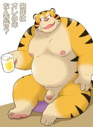 2021 alcohol anthro balls beer belly beverage blush cute_fangs felid flaccid genitals humanoid_genitalia humanoid_hands humanoid_penis japanese_text kemono male mammal moobs navel nipples overweight overweight_male pantherine penis pink_nose sitting solo text tiger wantaro yellow_body