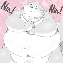 2021 absurd_res anthro balls belly blue_eyes blush canid canine canis domestic_dog foreskin genitals grey_body hi_res humanoid_hands kemono male mammal navel obese obese_male overweight overweight_male penis poketalesof small_penis solo white_body