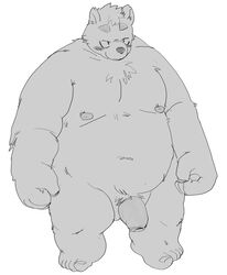 2021 anthro balls belly biped blush genitals hi_res humanoid_genitalia humanoid_hands humanoid_penis kemono male mammal moobs moujya nipples overweight overweight_male penis simple_background solo ursid white_background